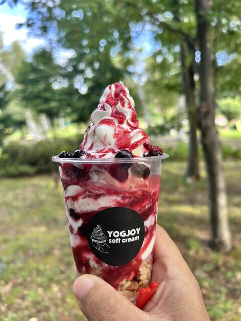 クリーム fun joy⭐️プロフ必読オーダーページ YOG JOY soft cream （ヨグジョイソフトクリーム） - 美園/ソフト