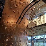 スターバックス リザーブ ロースタリー トウキョウ - 