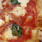 PIZZERIA PULCINO - プルチーノランチ