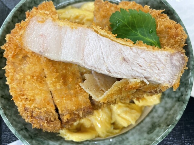 katsudon arata photo 5