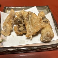 ふる林 - 