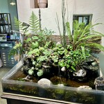 Garden Cafe home - アクアテラリウム　涼しげです