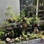 Garden Cafe home - 盆栽も並んでます