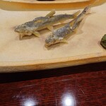 旬彩小料理 満まる - 