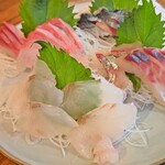 酒とつまみと魚屋と - 