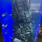 くしろ港町 釧ちゃん食堂 - 