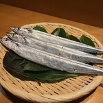 MOTO TOKYO - 秋の味覚さんま