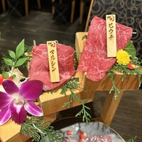 焼肉割烹 YP流 宗右衛門町本店 - 
