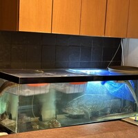 はんやかどのくーた - 