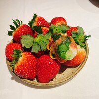 デルフィーナ - 