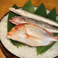 泉岳寺門前 紋屋 - 