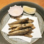 飛勘水産 鮨 一華 - 