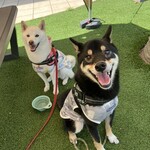 サーフガーデン - 