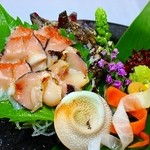 Tuna, turban shell, squid, salmon sashimi