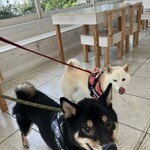 Dog Barrier free Cafe 茂原珈琲 - 