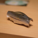 鮨 めい乃 - 天草のシンコ。