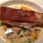 Kamekichi - 真鯛のポワレ ムール貝のナージュ