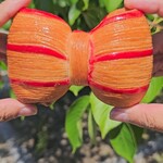 ORIGINE MONTMARTRE - 