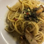 シャイニーアウル - 