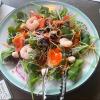 COLONIAL BEACH 横浜ハンマーヘッド - 