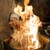 魚と煮込みとわら焼きと ととと - その他写真: