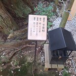 手打らーめん HIRO - 