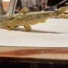 天ぷら 銀座おのでら - 