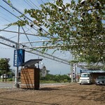 グレープショップ ココロ - 