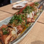 魚豪商 コダマ - 