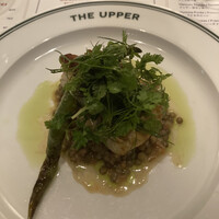 THE UPPER - 