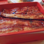 うなぎ亭 友栄 - うな重