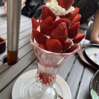 神戸牛ステーキ&カフェ ノーブルウルス 三宮店 - 