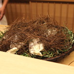 緒方 - こりゃぁ～、何だっ！　(2014/10)