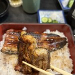 青葉 - 肉厚