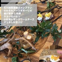 ロテュス - 