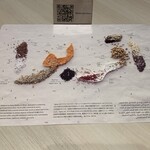 アラブ首長国連邦パビリオン レストラン - 