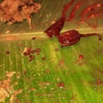 スリマンガラムA/C - カードチリは割って､中の種を後半に味変で料理に混ぜてみた。