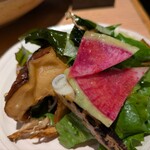 近畿大学水産研究所 - 