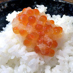 天ぷら処 こさか - 新川産鮭いくら醤油漬（ご飯にのせて）（２０１４年１０月）