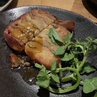 THE RIGOLETTO -  THE RIGOLETTO -