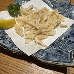 Marusanya 福井片町 - 