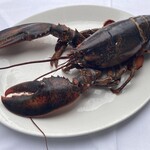 The Lobster - 