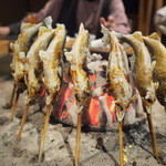 柳家 - すべてが子持ちの鮎ですH26年10月