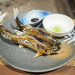 柳家 - たっぷりの卵がはちきれんばかりです　H26年10月