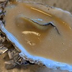 加藤食堂 - 