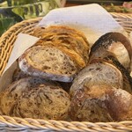 BREAD&WINE RP+ - 