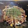 道とん堀 - お好み焼き