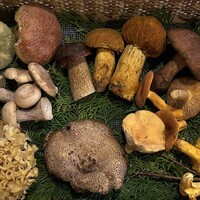 亜絲花 - 本日のきのこ