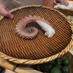 すし 良月 - 長井産タコ