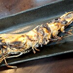 お食事処 魚一 - 